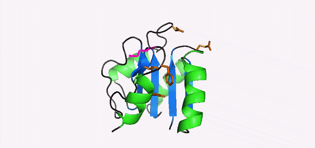 sma0114_animation